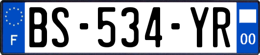 BS-534-YR