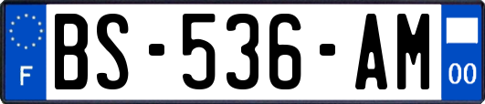 BS-536-AM