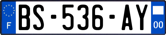 BS-536-AY