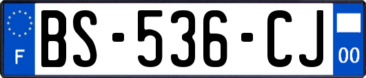 BS-536-CJ