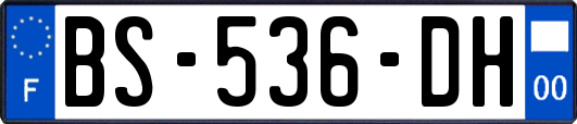 BS-536-DH