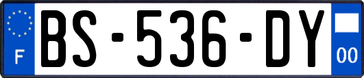 BS-536-DY