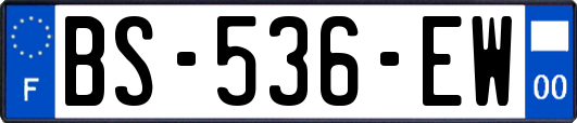 BS-536-EW