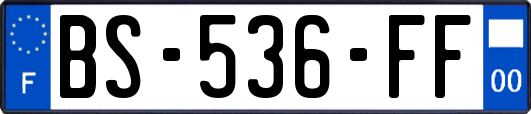 BS-536-FF