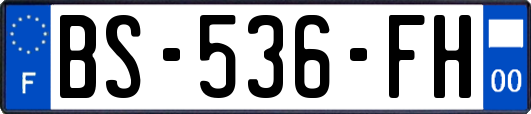 BS-536-FH