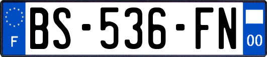 BS-536-FN