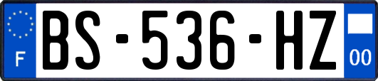 BS-536-HZ