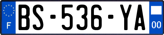 BS-536-YA