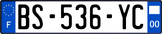 BS-536-YC