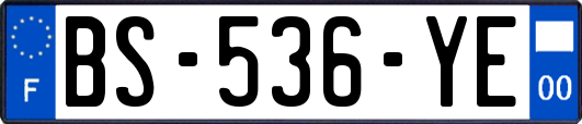 BS-536-YE