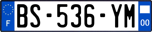 BS-536-YM