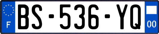 BS-536-YQ