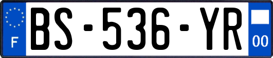 BS-536-YR