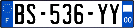 BS-536-YY
