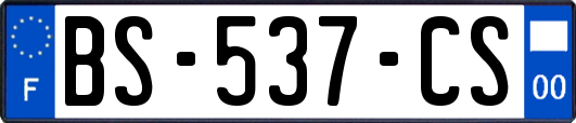 BS-537-CS