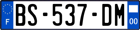 BS-537-DM
