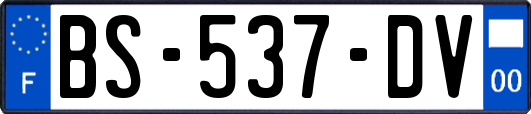 BS-537-DV