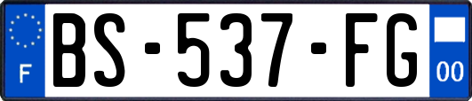 BS-537-FG