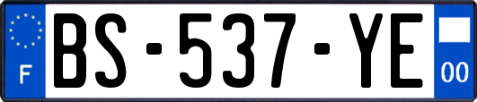 BS-537-YE