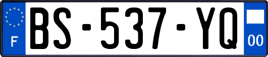 BS-537-YQ