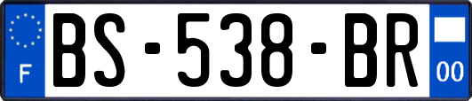 BS-538-BR