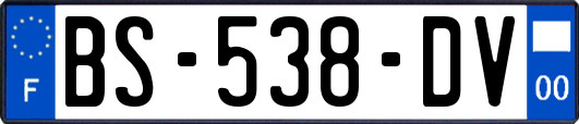 BS-538-DV