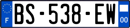 BS-538-EW