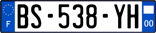 BS-538-YH