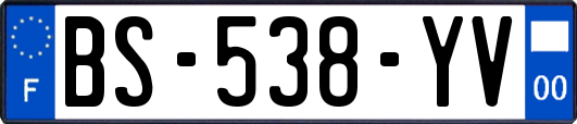 BS-538-YV
