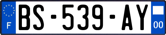 BS-539-AY