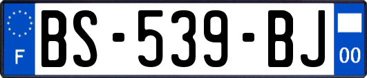 BS-539-BJ