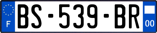 BS-539-BR