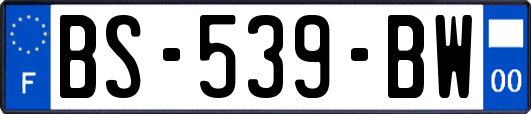 BS-539-BW