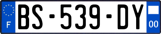 BS-539-DY