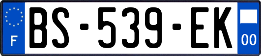 BS-539-EK