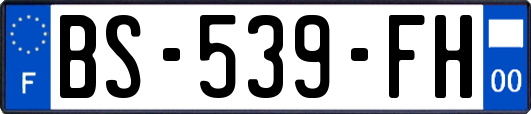 BS-539-FH