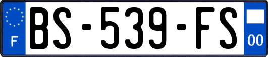 BS-539-FS
