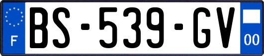 BS-539-GV