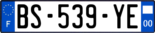 BS-539-YE