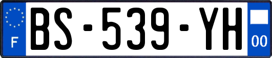 BS-539-YH