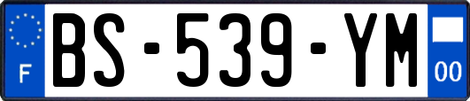 BS-539-YM