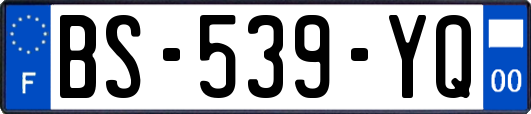 BS-539-YQ