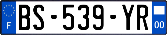 BS-539-YR