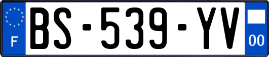 BS-539-YV
