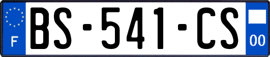 BS-541-CS