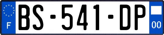 BS-541-DP