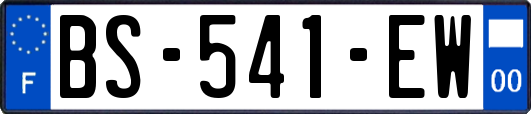 BS-541-EW