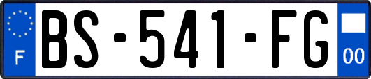 BS-541-FG