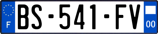 BS-541-FV