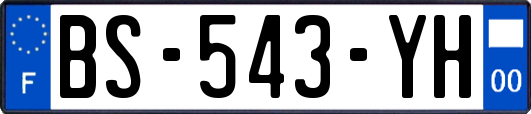 BS-543-YH